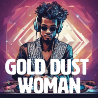 Gold Dust Woman - Instrumental cover